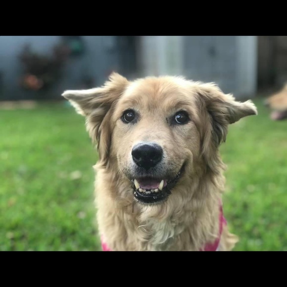 Meet your Posher, Michelle - Picture 15 of 16